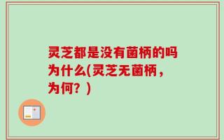 灵芝都是没有菌柄的吗为什么(灵芝无菌柄，为何？)