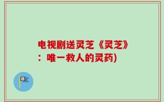 电视剧送灵芝《灵芝》：唯一救人的灵药)