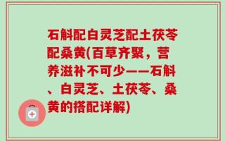 石斛配白灵芝配土茯苓配桑黄(百草齐聚，营养滋补不可少——石斛、白灵芝、土茯苓、桑黄的搭配详解)
