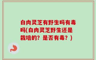 白肉灵芝有野生吗有毒吗(白肉灵芝野生还是栽培的？是否有毒？)