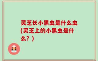 灵芝长小黑虫是什么虫(灵芝上的小黑虫是什么？)