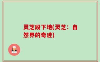灵芝段下地(灵芝：自然界的奇迹)
