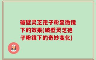 破壁灵芝孢子粉显微镜下的效果(破壁灵芝孢子粉镜下的奇妙变化)