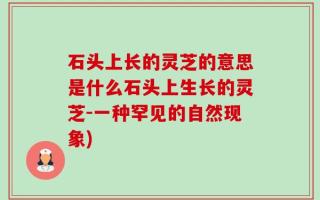 石头上长的灵芝的意思是什么石头上生长的灵芝-一种罕见的自然现象)