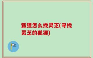 狐狸怎么找灵芝(寻找灵芝的狐狸)