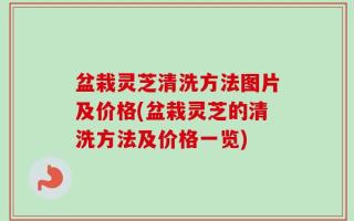 盆栽灵芝清洗方法图片及价格(盆栽灵芝的清洗方法及价格一览)