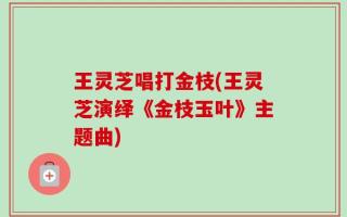 王灵芝唱打金枝(王灵芝演绎《金枝玉叶》主题曲)