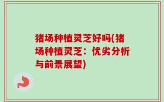 猪场种植灵芝好吗(猪场种植灵芝：优劣分析与前景展望)