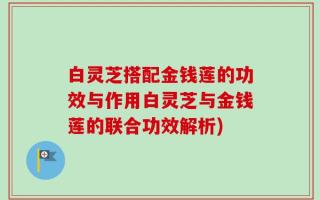 白灵芝搭配金钱莲的功效与作用白灵芝与金钱莲的联合功效解析)