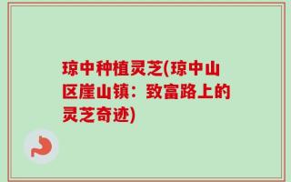 琼中种植灵芝(琼中山区崖山镇：致富路上的灵芝奇迹)