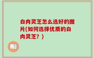 白肉灵芝怎么选好的图片(如何选择优质的白肉灵芝？)