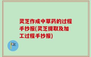 灵芝作成中草药的过程手抄报(灵芝提取及加工过程手抄报)