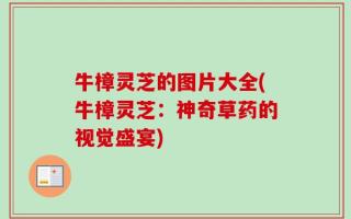 牛樟灵芝的图片大全(牛樟灵芝：神奇草药的视觉盛宴)