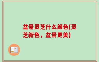 盆景灵芝什么颜色(灵芝新色，盆景更美)