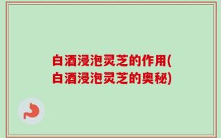 白酒浸泡灵芝的作用(白酒浸泡灵芝的奥秘)