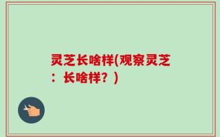 灵芝长啥样(观察灵芝：长啥样？)