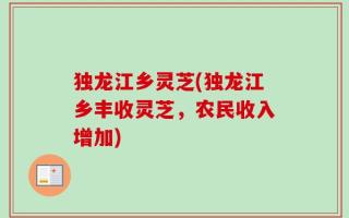 独龙江乡灵芝(独龙江乡丰收灵芝，农民收入增加)
