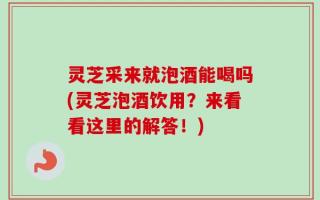 灵芝采来就泡酒能喝吗(灵芝泡酒饮用？来看看这里的解答！)