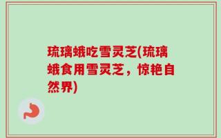 琉璃蛾吃雪灵芝(琉璃蛾食用雪灵芝，惊艳自然界)