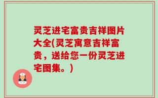 灵芝进宅富贵吉祥图片大全(灵芝寓意吉祥富贵，送给您一份灵芝进宅图集。)