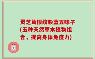 灵芝葛根绞股蓝五味子(五种天然草本植物组合，提高身体免疫力)