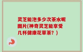 灵芝能泡多少次茶水呢图片(神奇灵芝能享受几杯健康花草茶？)