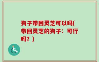 狗子带回灵芝可以吗(带回灵芝的狗子：可行吗？)