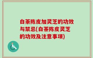 白茶陈皮加灵芝的功效与禁忌(白茶陈皮灵芝的功效及注意事项)