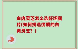 白肉灵芝怎么选好坏图片(如何挑选优质的白肉灵芝？)