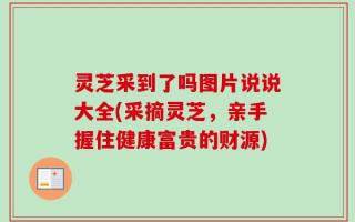 灵芝采到了吗图片说说大全(采摘灵芝，亲手握住健康富贵的财源)