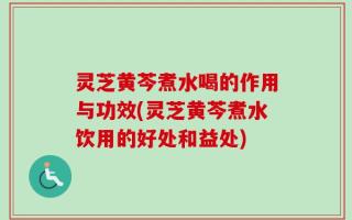 灵芝黄芩煮水喝的作用与功效(灵芝黄芩煮水饮用的好处和益处)