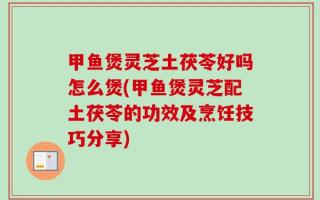 甲鱼煲灵芝土茯苓好吗怎么煲(甲鱼煲灵芝配土茯苓的功效及烹饪技巧分享)