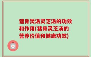 猪骨煲汤灵芝汤的功效和作用(猪骨灵芝汤的营养价值和健康功效)
