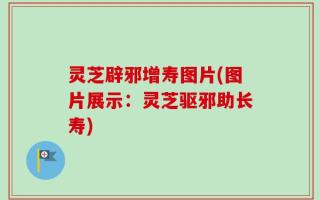 灵芝辟邪增寿图片(图片展示：灵芝驱邪助长寿)