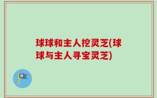 球球和主人挖灵芝(球球与主人寻宝灵芝)
