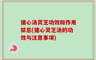 猪心汤灵芝功效和作用禁忌(猪心灵芝汤的功效与注意事项)