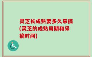 灵芝长成熟要多久采摘(灵芝的成熟周期和采摘时间)