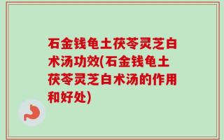 石金钱龟土茯苓灵芝白术汤功效(石金钱龟土茯苓灵芝白术汤的作用和好处)