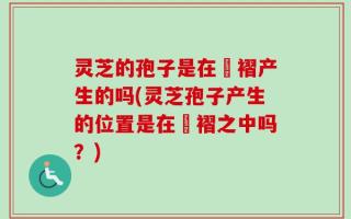 灵芝的孢子是在箘褶产生的吗(灵芝孢子产生的位置是在箘褶之中吗？)