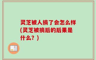 灵芝被人摘了会怎么样(灵芝被摘后的后果是什么？)