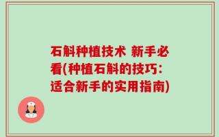 石斛种植技术 新手必看(种植石斛的技巧：适合新手的实用指南)