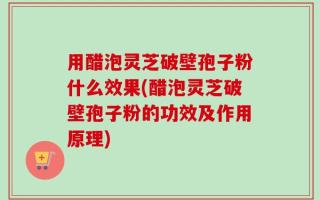 用醋泡灵芝破壁孢子粉什么效果(醋泡灵芝破壁孢子粉的功效及作用原理)