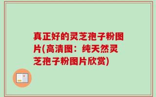真正好的灵芝孢子粉图片(高清图：纯天然灵芝孢子粉图片欣赏)