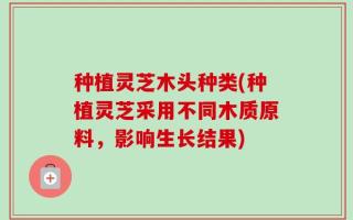 种植灵芝木头种类(种植灵芝采用不同木质原料，影响生长结果)