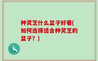 种灵芝什么盆子好看(如何选择适合种灵芝的盆子？)