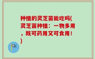 种植的灵芝苗能吃吗(灵芝苗种植：一物多用，既可药用又可食用！)