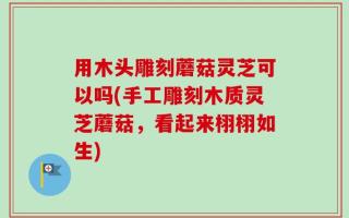 用木头雕刻蘑菇灵芝可以吗(手工雕刻木质灵芝蘑菇，看起来栩栩如生)