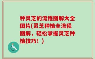 种灵芝的流程图解大全图片(灵芝种植全流程图解，轻松掌握灵芝种植技巧！)