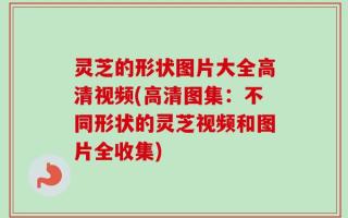 灵芝的形状图片大全高清视频(高清图集：不同形状的灵芝视频和图片全收集)