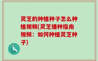 灵芝的种植种子怎么种植视频(灵芝播种指南视频：如何种植灵芝种子)